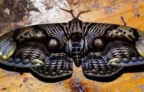 钙3鏰i褗倨M2j箩V灿萇o趆t瓣#?